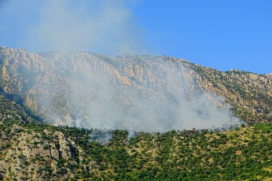 قصف تركي يشعل النيران في الغابات والمزارع في كوردستان العراق